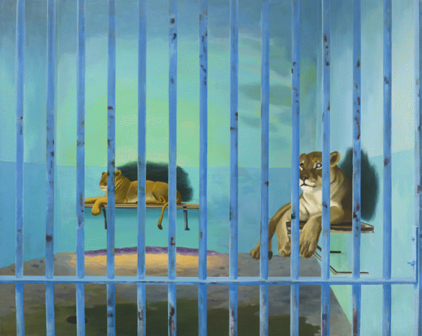 Gilles Aillaud, Animal politique