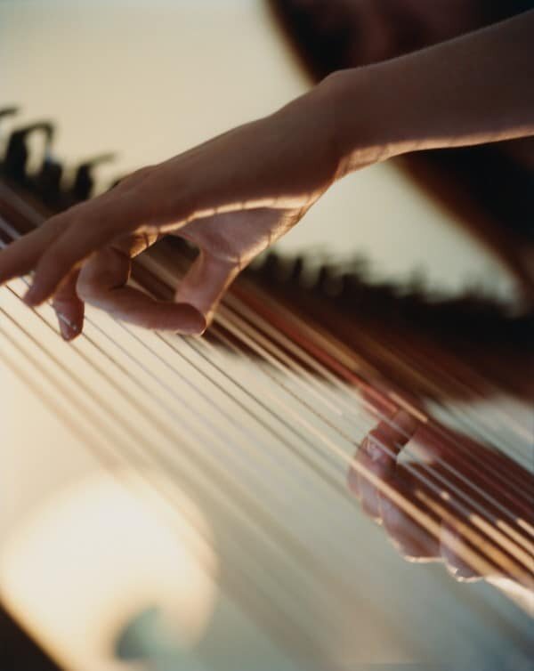 Senta Simond, Dissonance