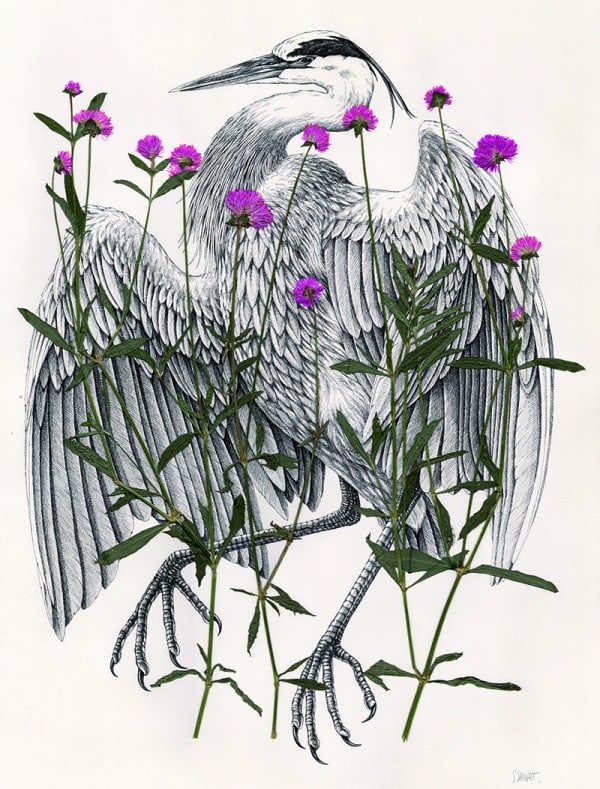 Petite nature : Steeven Salvat