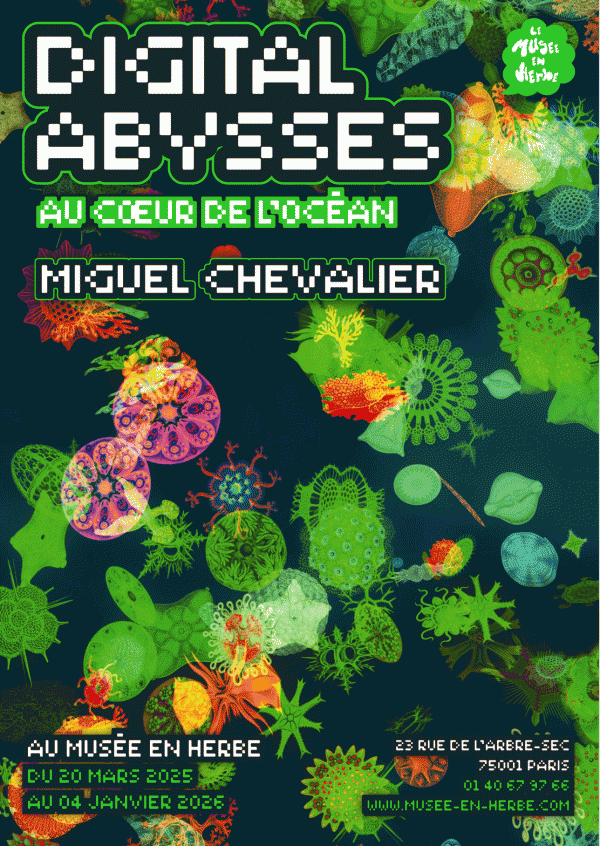 Miguel Chevalier, Digital Abysses
