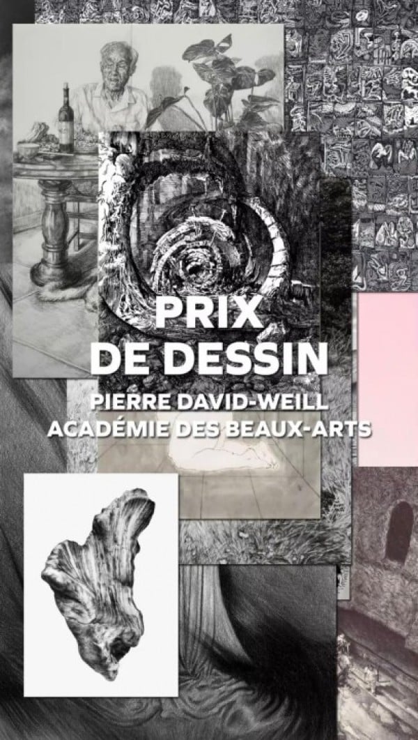 Prix de Dessin Pierre David-Weill - Académie des beaux-arts 2025