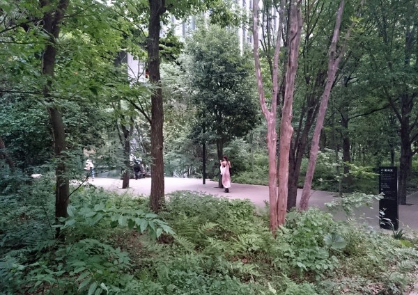 Jardins suspendus : Michel Desvigne Paysagiste