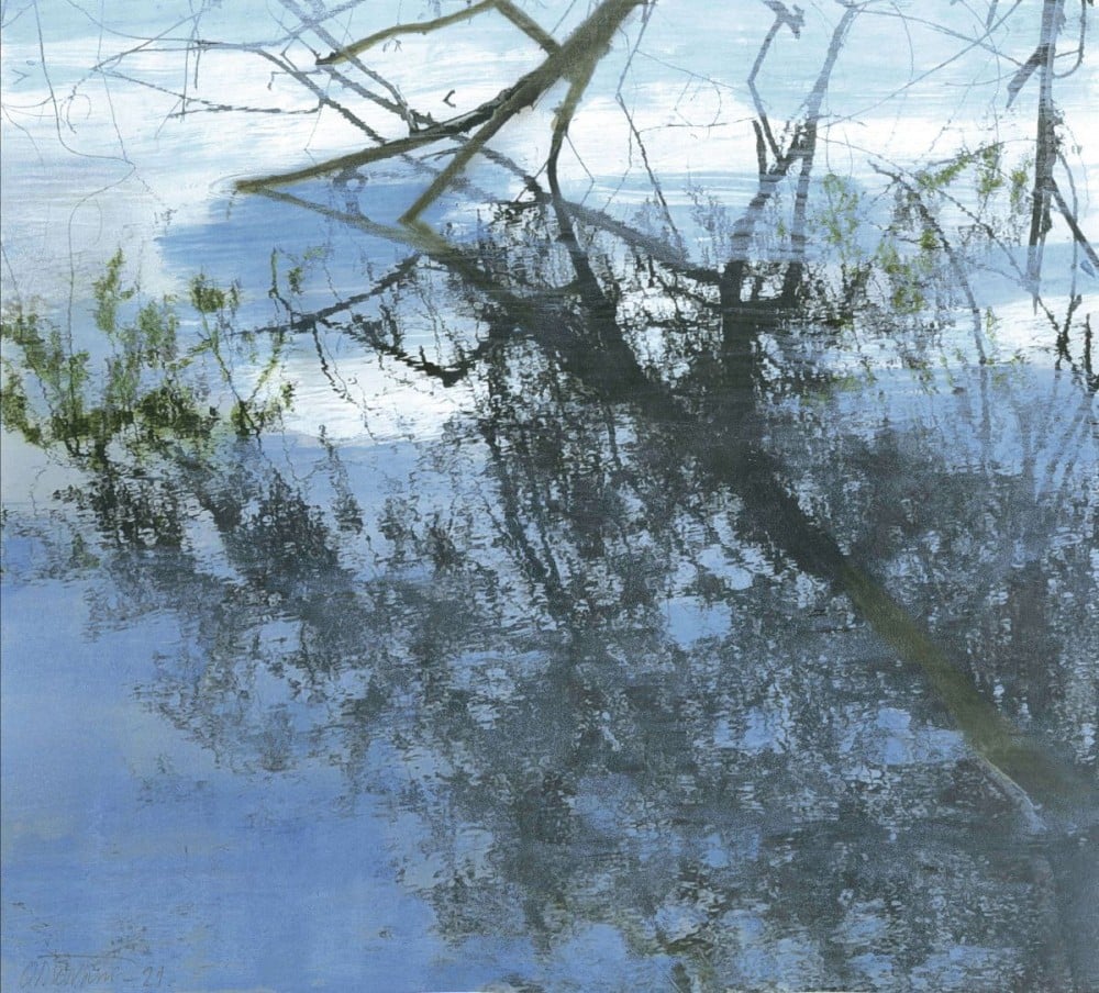 Reflets dans l'eau : Farhad Ostovani