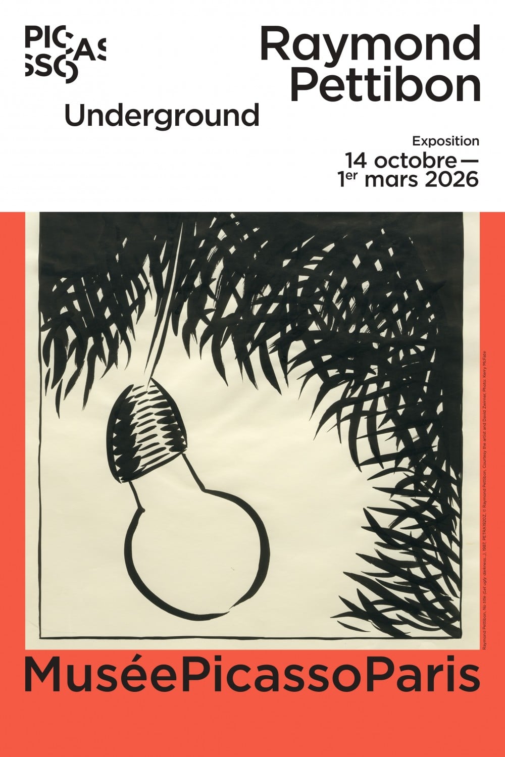 Raymond Pettibon, Underground