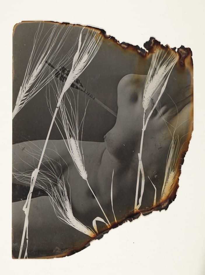Photogrammes et Rayogrammes : 1940-1950.