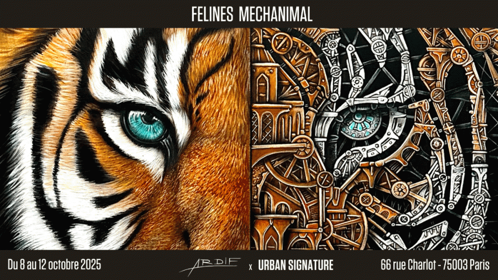 Felines Mechanimal : Ardif