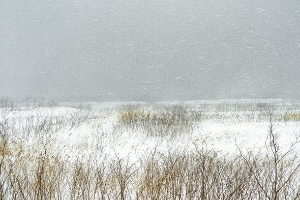 Le bruit de la neige : Catherine Henriette