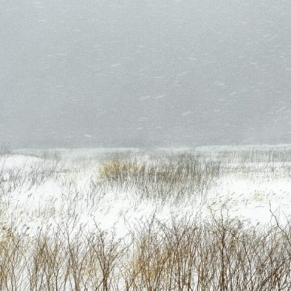 Le bruit de la neige : Catherine Henriette