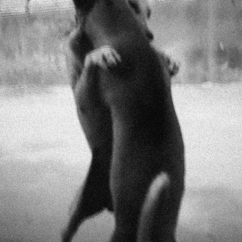 Sous terre : Antoine Lecharny