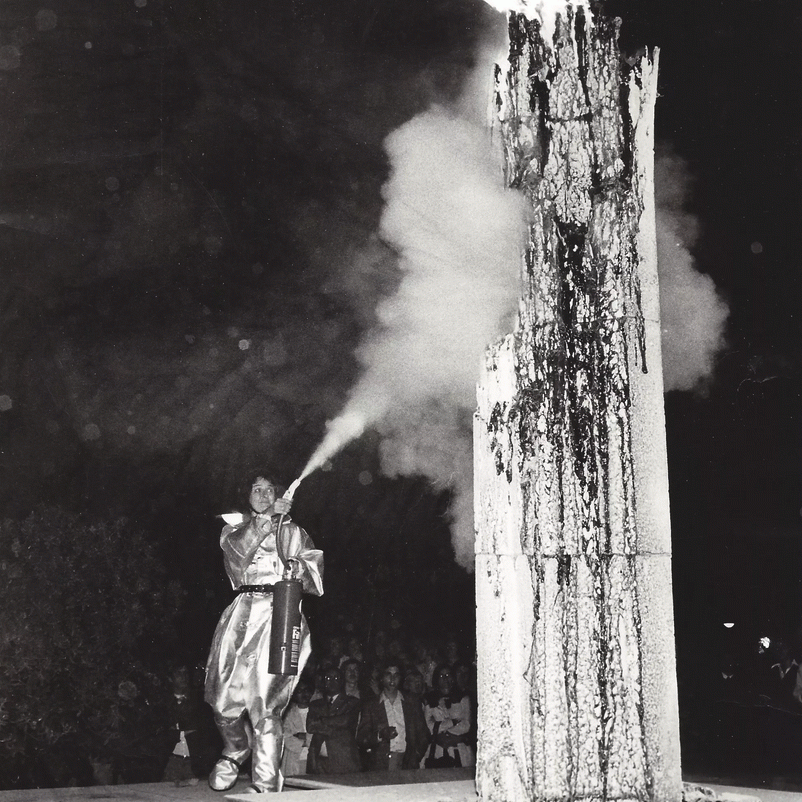 Flammes : Ingeborg Lüscher