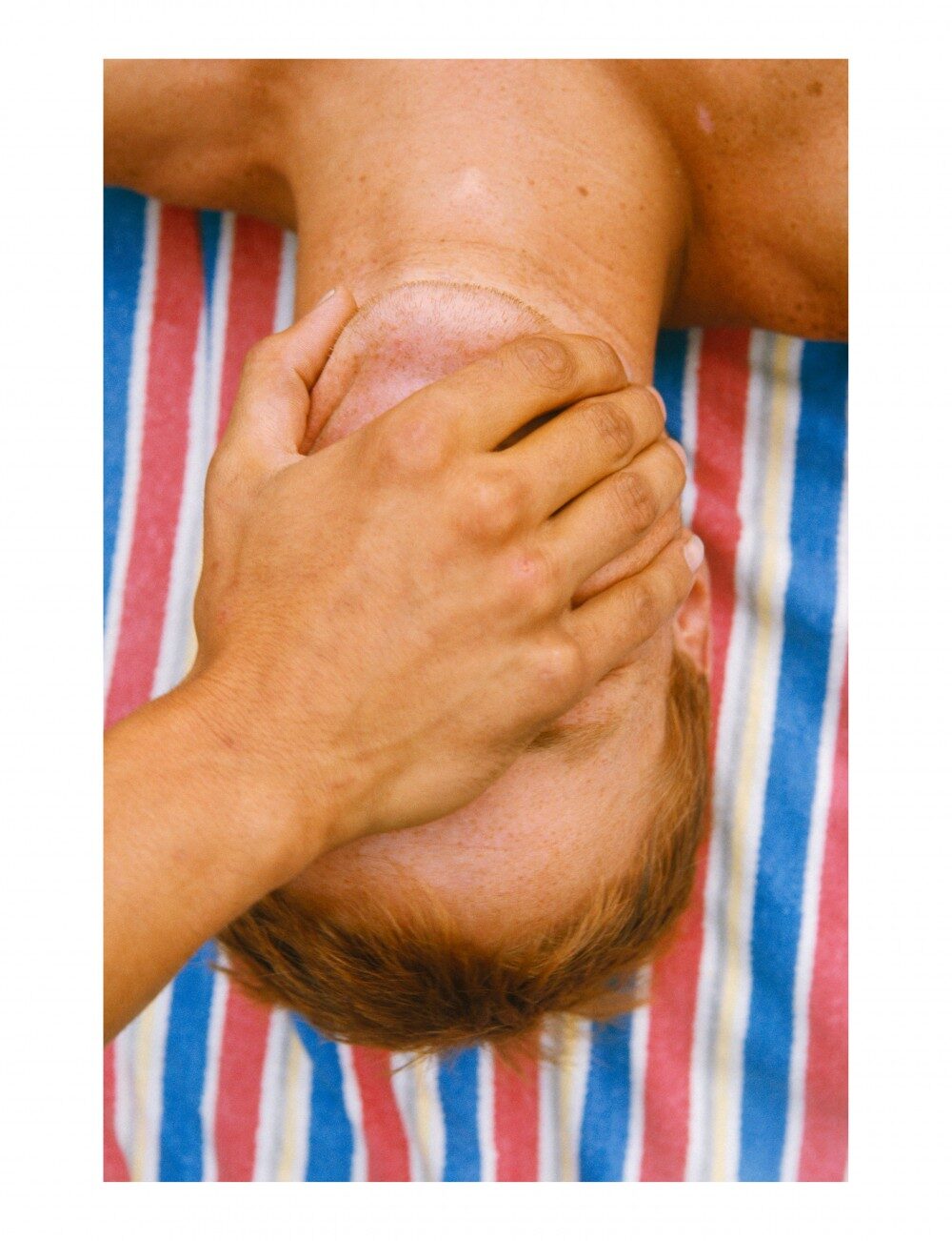 Fragile beauté