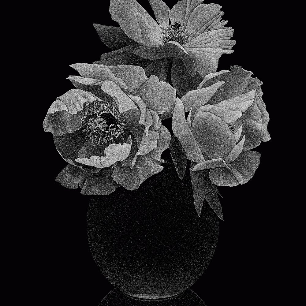 Pierre-Joseph Redouté, Thilo Westermann : Roses & Pivoines