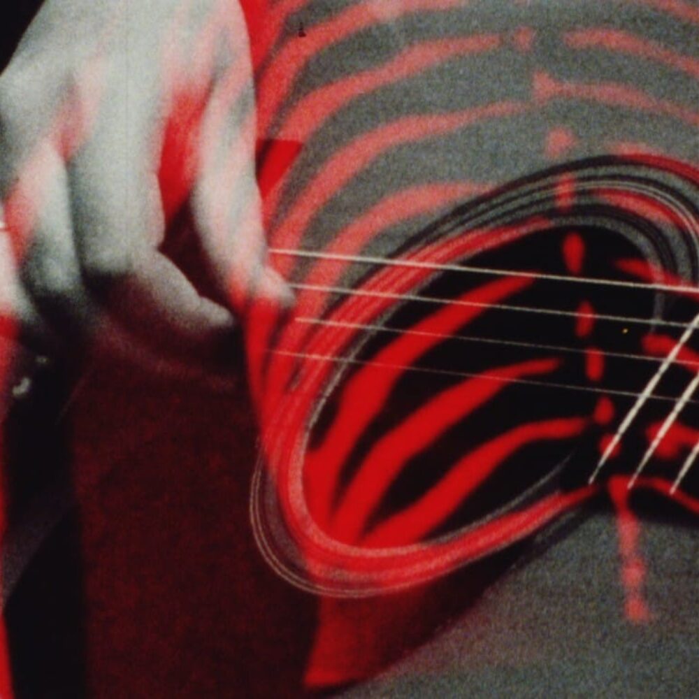 Sandra Lahire : Surexposée, comme aux rayons X