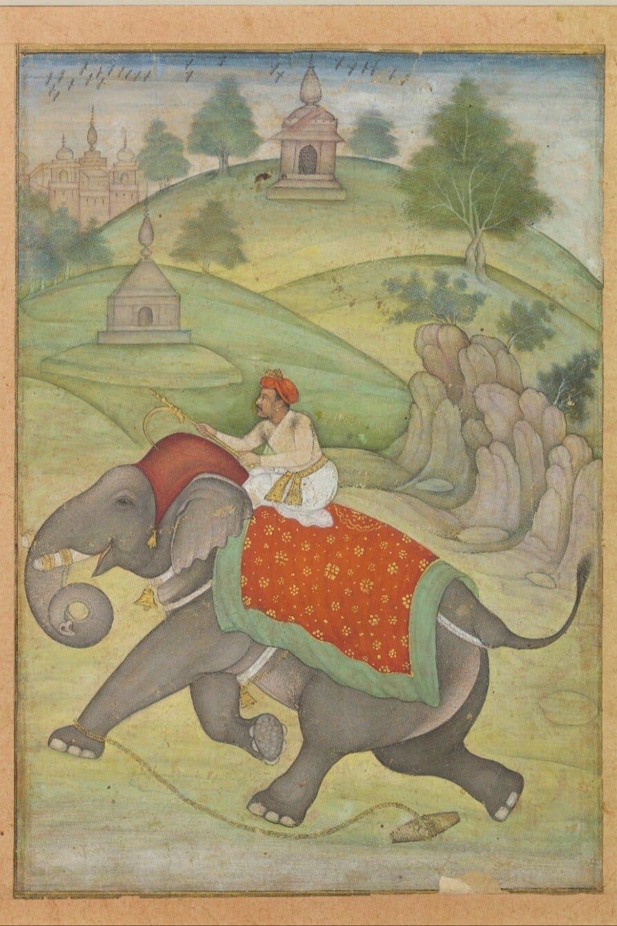 Animalia, Bestiaire de la Collection Al Thani