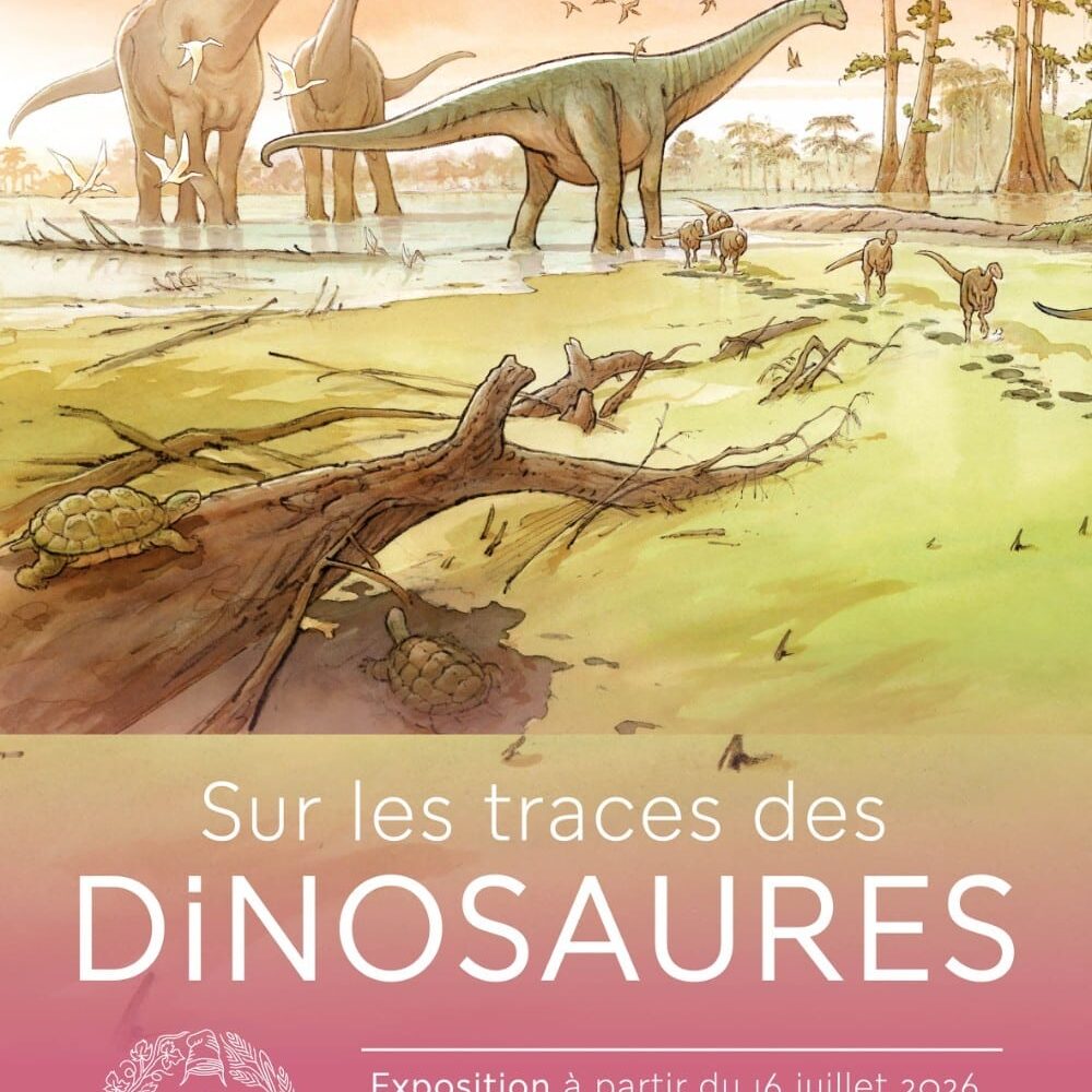 Sur les traces des dinosaures