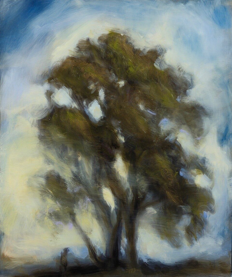 Visages d’arbre