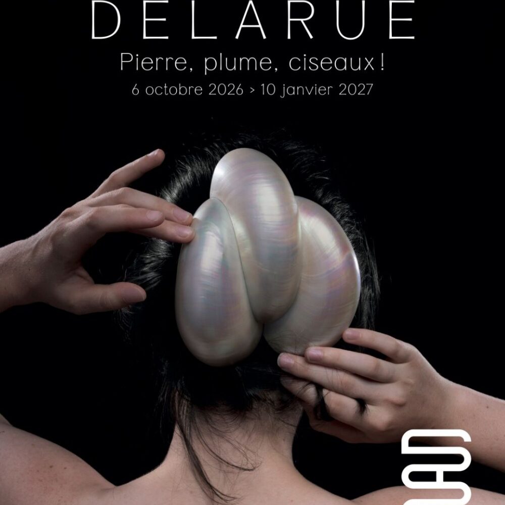 Marion Delarue. Pierre, plume, ciseaux